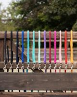 Lead rope heavy snap