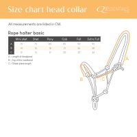 Rope halter basic