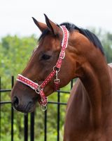 Head collar Christmas