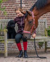 Head collar Christmas