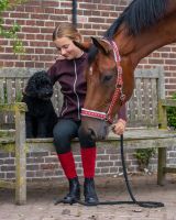 Head collar Christmas