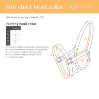 Head collar Yearling