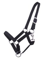 Head collar Yearling