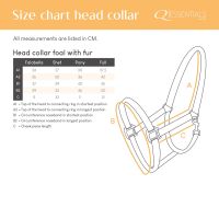 Head collar foal with fur