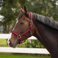 Head collar Deluxe (presale)
