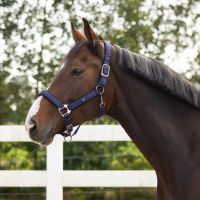Head collar Deluxe (presale)