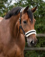 Head collar Cali