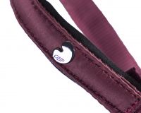 Head collar foal Lily