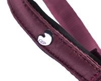 Head collar foal Lily