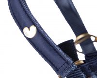 Head collar foal Lily