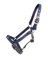 Head collar foal Lily