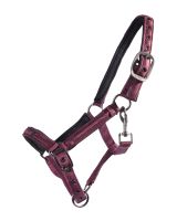 Head collar foal Lily