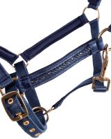 Head collar foal Lily