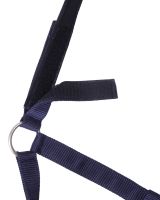Safety halter lined
