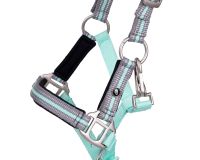 Head collar foal Flore with browband