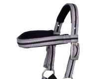 Head collar foal Flore with browband