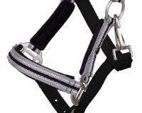 Head collar foal Flore with browband
