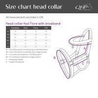 Head collar foal Flore with browband