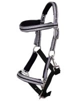 Head collar foal Flore with browband