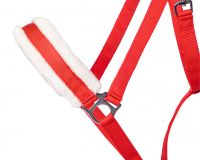 Head collar Cali draft horse