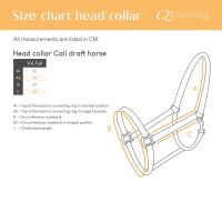 Head collar Cali draft horse