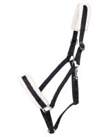 Head collar Cali draft horse