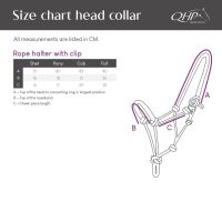Rope halter with clip
