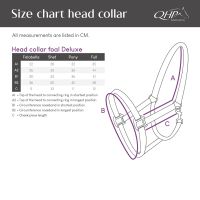 Head collar foal Deluxe