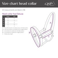 Head collar foal Deluxe