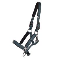 Head collar foal Deluxe