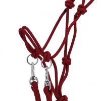Rope halter Color with rein