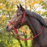 Rope halter Color with rein