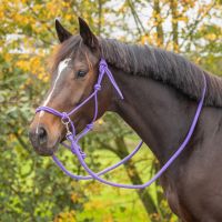 Rope halter Color with rein