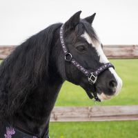Head collar Lize