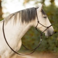 Rope halter leather Liberta