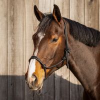 Rope halter leather Liberta