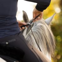 Neck rope leather Liberta