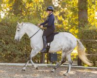 Neck rope leather Liberta