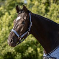 Head collar set with turnout collection
