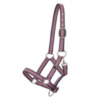 Head collar foal collection