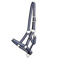 Head collar foal collection