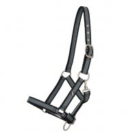 Head collar foal collection