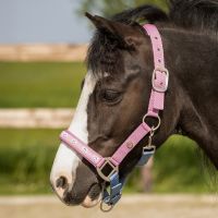 Head collar Rosalynn