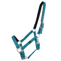 Head collar with lining