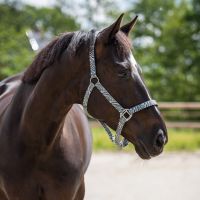 Head collar with lining