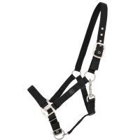 Head collar with lining