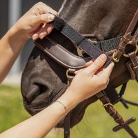 Tack up halter