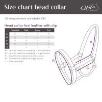 Head collar foal leather with clip