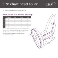Head collar foal leather with clip