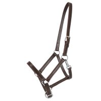 Head collar foal leather with clip